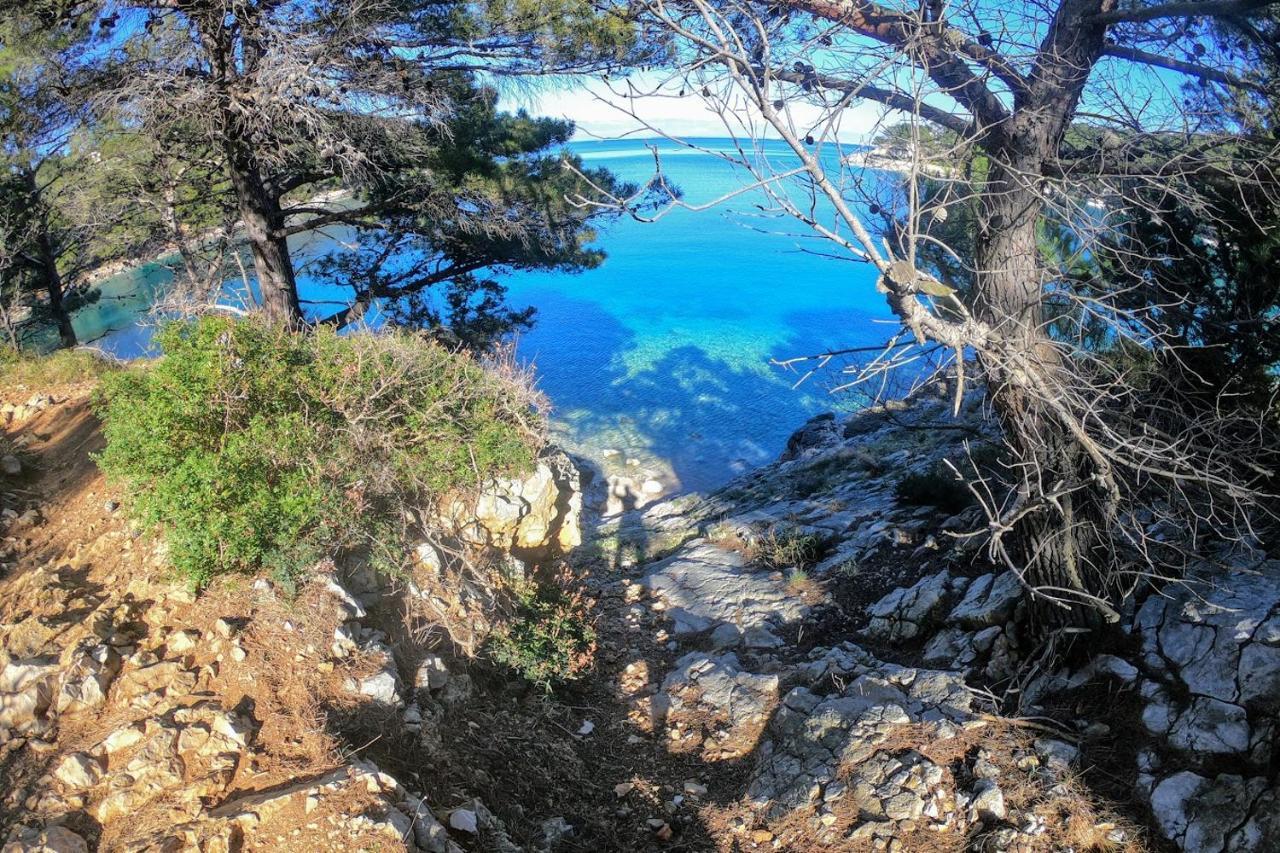 Amaryllis Residence, Apartment Diana & Deluxe Rooms With Shared Kitchen Veli Lošinj Kültér fotó